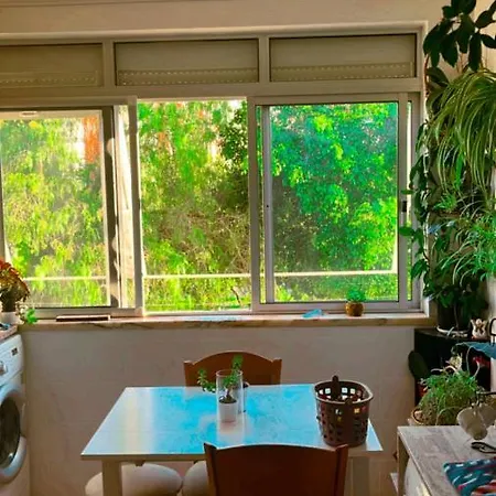 Com Boa Localizacao E Conforto